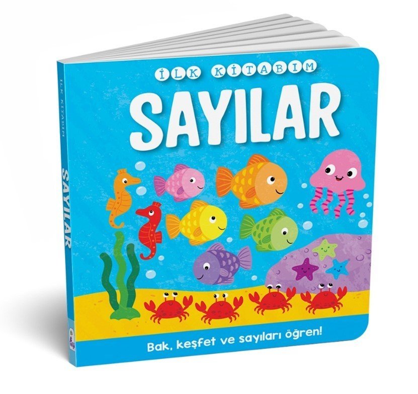 İLK KİTABIM - SAYILAR