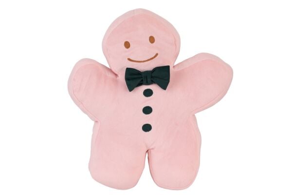 5629 Pembe Kurabiye