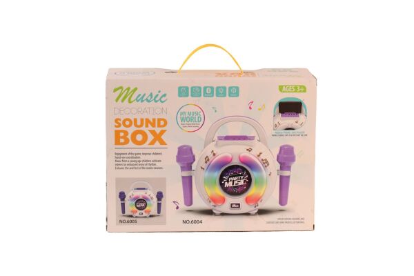6005 KUTULU MİKROFONLU MÜZİK KUTUSU 12