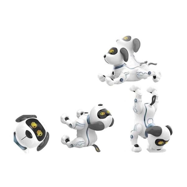 K16 BY UZAK KUM AKROBATİK KÖPEK