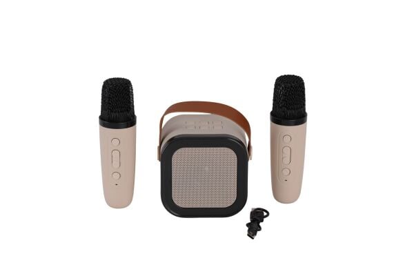 EMR-102 KUTULU 2Lİ KARAOKE MİKROFON