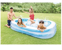 Intex Dış Bölme Şeffaf Aile Havuzu 262X175X56 cm