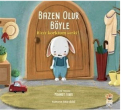 SİNCAP KİTAP BAZEN OLUR BÖYLE 4'LÜ  KİTAP SETİ