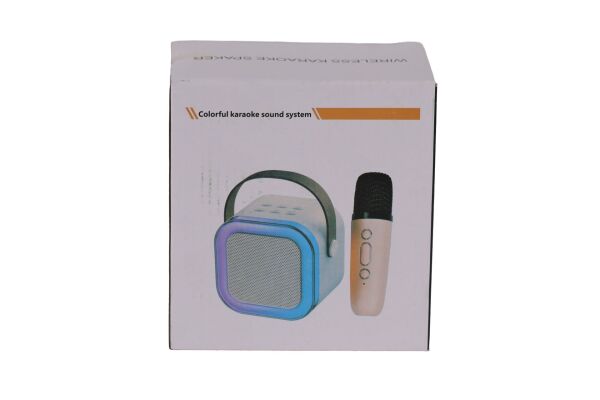 EMR-102 KUTULU 2Lİ KARAOKE MİKROFON