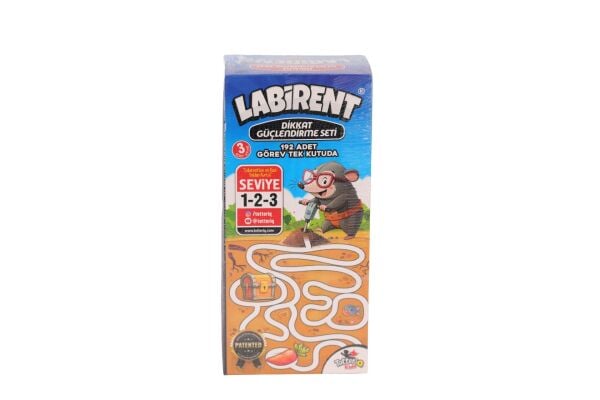 8238 LABİRENT
