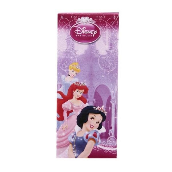 3411-Y KUT.TOMBUL TERMOS ÇELİK MICKEY MOUSE